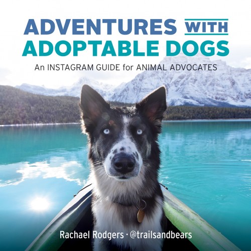 Adventures_Adoptable_Dogs_web-500x630